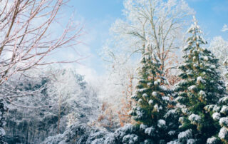 Christmas unsplash